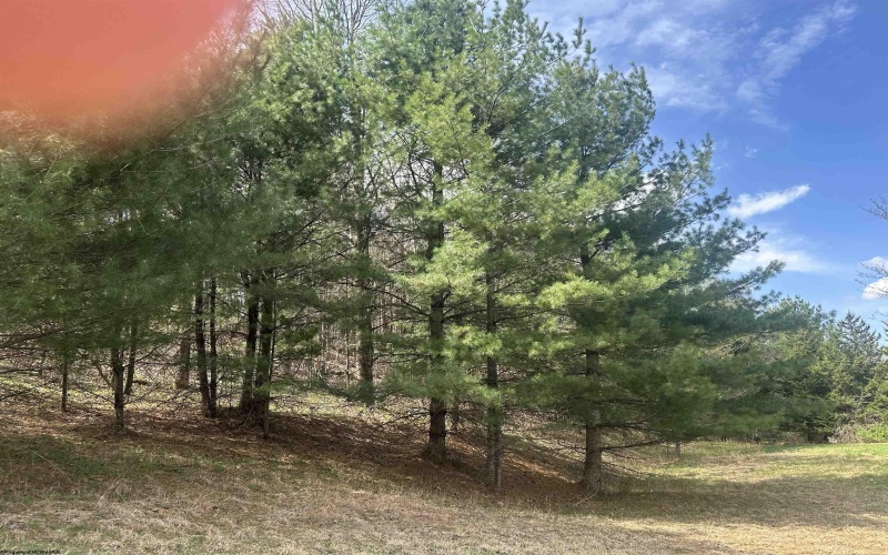 Lot 1 Bonner Mountain Road, Red Creek, West Virginia 26263, ,Lots/land,For Sale,Bonner Mountain,10164322