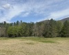 Lot 1 Bonner Mountain Road, Red Creek, West Virginia 26263, ,Lots/land,For Sale,Bonner Mountain,10164322