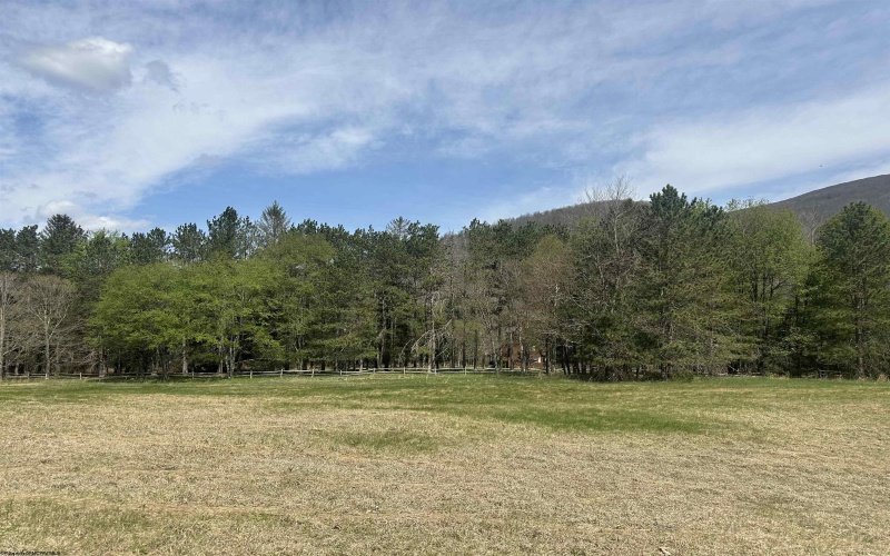 Lot 1 Bonner Mountain Road, Red Creek, West Virginia 26263, ,Lots/land,For Sale,Bonner Mountain,10164322