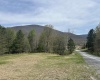 Lot 1 Bonner Mountain Road, Red Creek, West Virginia 26263, ,Lots/land,For Sale,Bonner Mountain,10164322