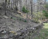 Lot 2 Bonner Mountain Road, Red Creek, West Virginia 26263, ,Lots/land,For Sale,Bonner Mountain,10164324