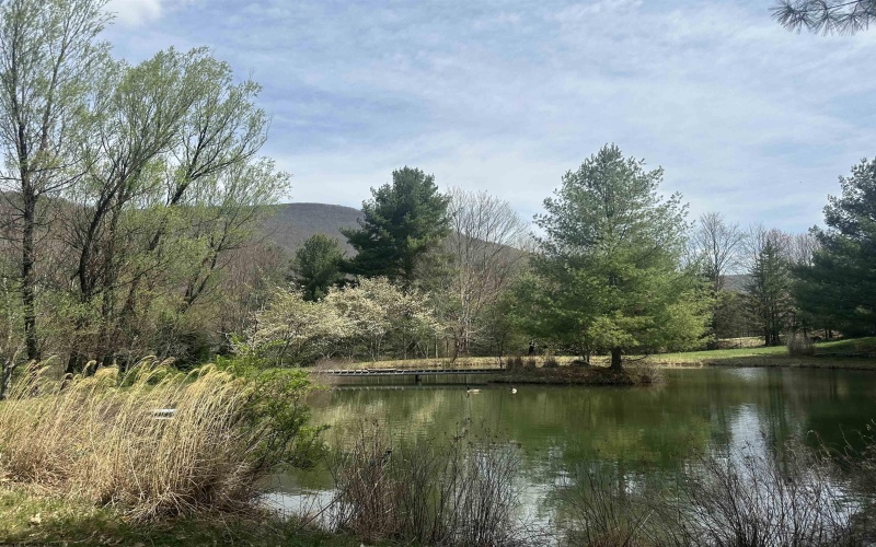 Lot 2 Bonner Mountain Road, Red Creek, West Virginia 26263, ,Lots/land,For Sale,Bonner Mountain,10164324