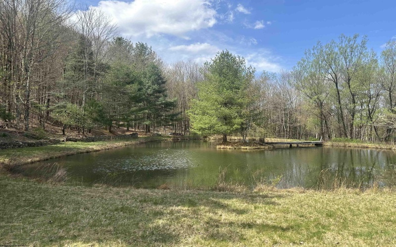 Lot 2 Bonner Mountain Road, Red Creek, West Virginia 26263, ,Lots/land,For Sale,Bonner Mountain,10164324