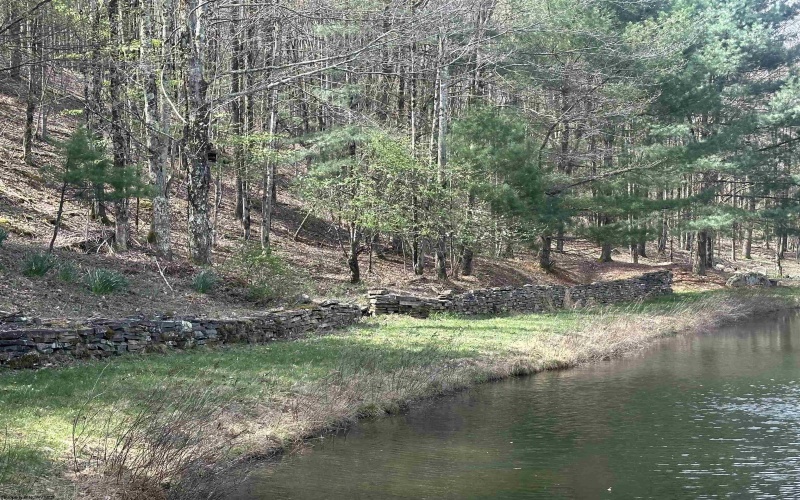 Lot 2 Bonner Mountain Road, Red Creek, West Virginia 26263, ,Lots/land,For Sale,Bonner Mountain,10164324