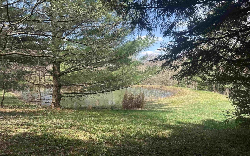 Lot 2 Bonner Mountain Road, Red Creek, West Virginia 26263, ,Lots/land,For Sale,Bonner Mountain,10164324