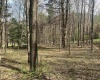 Lot 2 Bonner Mountain Road, Red Creek, West Virginia 26263, ,Lots/land,For Sale,Bonner Mountain,10164324