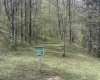 Lot 2 Bonner Mountain Road, Red Creek, West Virginia 26263, ,Lots/land,For Sale,Bonner Mountain,10164324