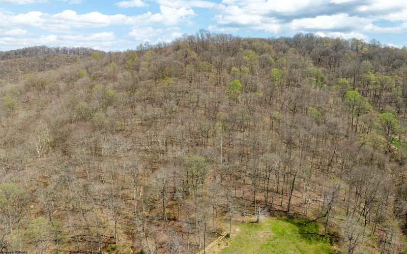 761 Zeb Haught Road, Wadestown, West Virginia 26590, 3 Bedrooms Bedrooms, 8 Rooms Rooms,1 BathroomBathrooms,Single Family Detached,For Sale,Zeb Haught,10164317