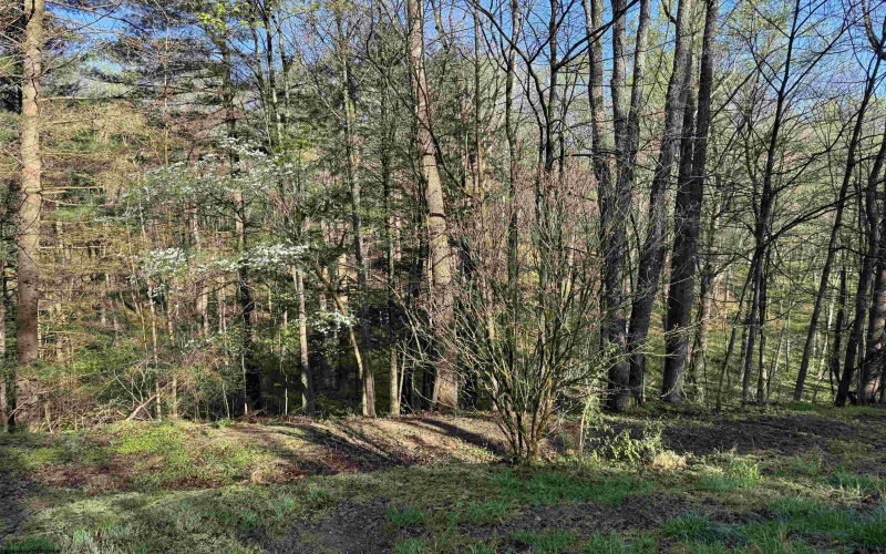 629 Glory Barn Road, Morgantown, West Virginia 26508, 1 Bedroom Bedrooms, 1 Room Rooms,1 BathroomBathrooms,Single Family Detached,For Sale,Glory Barn,10164313