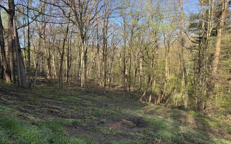 629 Glory Barn Road, Morgantown, West Virginia 26508, 1 Bedroom Bedrooms, 1 Room Rooms,1 BathroomBathrooms,Single Family Detached,For Sale,Glory Barn,10164313