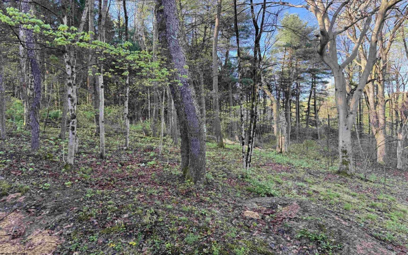 629 Glory Barn Road, Morgantown, West Virginia 26508, 1 Bedroom Bedrooms, 1 Room Rooms,1 BathroomBathrooms,Single Family Detached,For Sale,Glory Barn,10164313