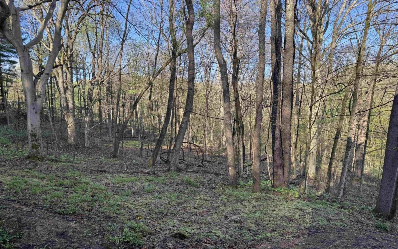 629 Glory Barn Road, Morgantown, West Virginia 26508, 1 Bedroom Bedrooms, 1 Room Rooms,1 BathroomBathrooms,Single Family Detached,For Sale,Glory Barn,10164313