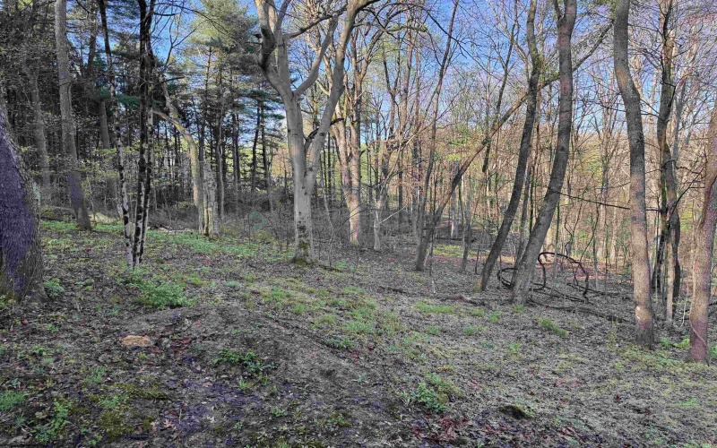 629 Glory Barn Road, Morgantown, West Virginia 26508, 1 Bedroom Bedrooms, 1 Room Rooms,1 BathroomBathrooms,Single Family Detached,For Sale,Glory Barn,10164313