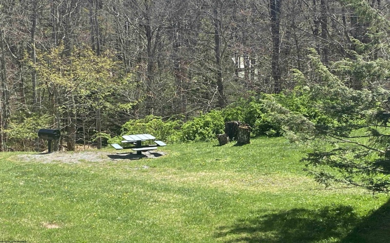 31 Ash Lodge Court, Davis, West Virginia 26260, 1 Bedroom Bedrooms, 4 Rooms Rooms,1 BathroomBathrooms,Single Family Attached,For Sale,Ash Lodge,10164346