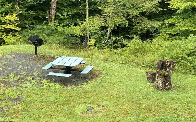 31 Ash Lodge Court, Davis, West Virginia 26260, 1 Bedroom Bedrooms, 4 Rooms Rooms,1 BathroomBathrooms,Single Family Attached,For Sale,Ash Lodge,10164346