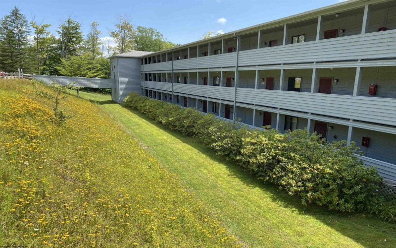 31 Ash Lodge Court, Davis, West Virginia 26260, 1 Bedroom Bedrooms, 4 Rooms Rooms,1 BathroomBathrooms,Single Family Attached,For Sale,Ash Lodge,10164346