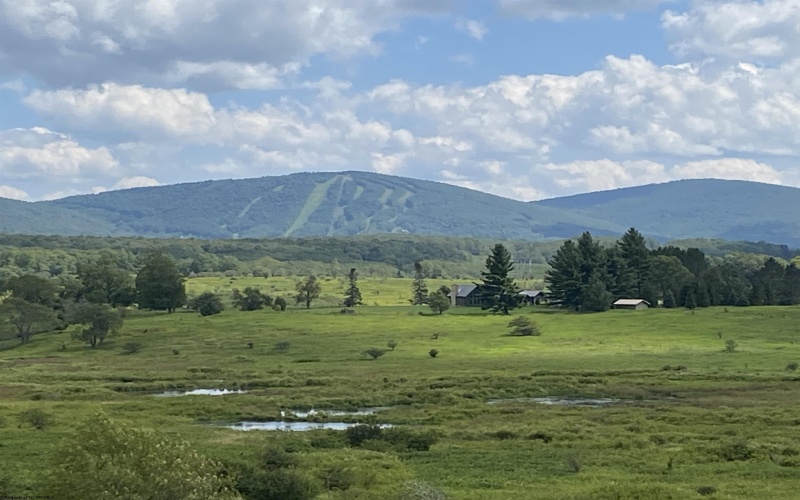 31 Ash Lodge Court, Davis, West Virginia 26260, 1 Bedroom Bedrooms, 4 Rooms Rooms,1 BathroomBathrooms,Single Family Attached,For Sale,Ash Lodge,10164346