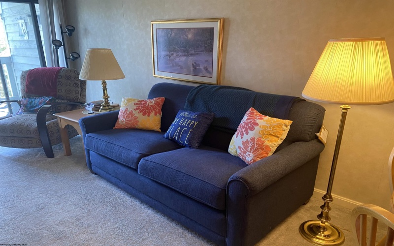 31 Ash Lodge Court, Davis, West Virginia 26260, 1 Bedroom Bedrooms, 4 Rooms Rooms,1 BathroomBathrooms,Single Family Attached,For Sale,Ash Lodge,10164346