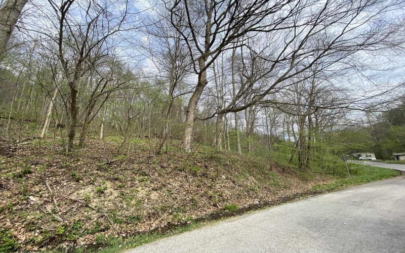Lot 5 Run Circle, Four States, West Virginia 26572, ,Lots/land,For Sale,Run,10164351