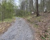 Lot 5 Run Circle, Four States, West Virginia 26572, ,Lots/land,For Sale,Run,10164351