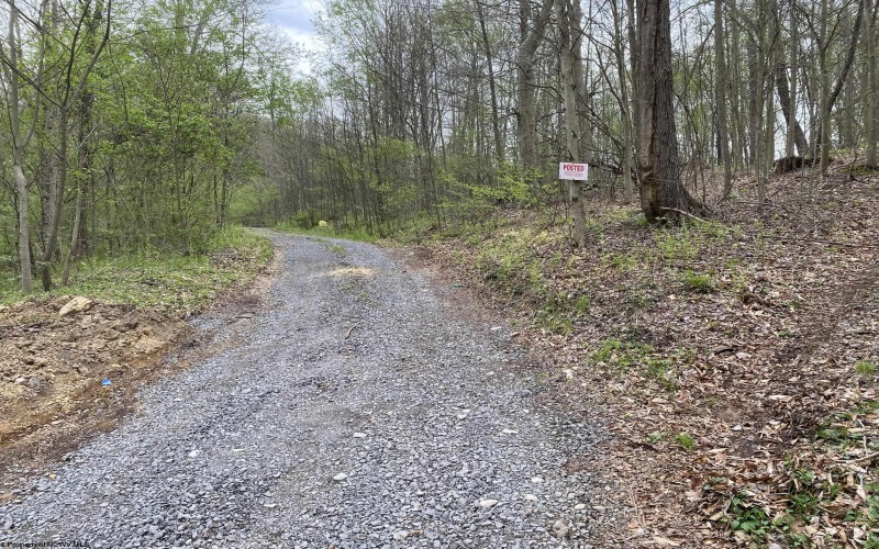 Lot 5 Run Circle, Four States, West Virginia 26572, ,Lots/land,For Sale,Run,10164351