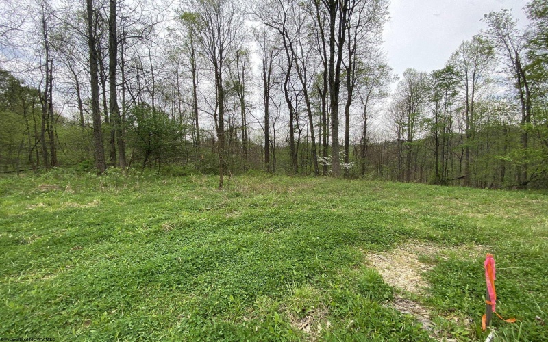 Lot 5 Run Circle, Four States, West Virginia 26572, ,Lots/land,For Sale,Run,10164351