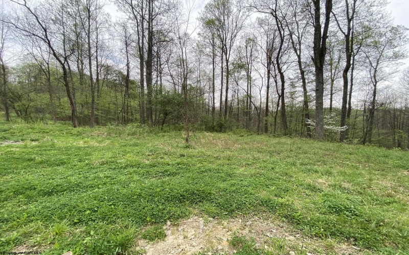 Lot 5 Run Circle, Four States, West Virginia 26572, ,Lots/land,For Sale,Run,10164351