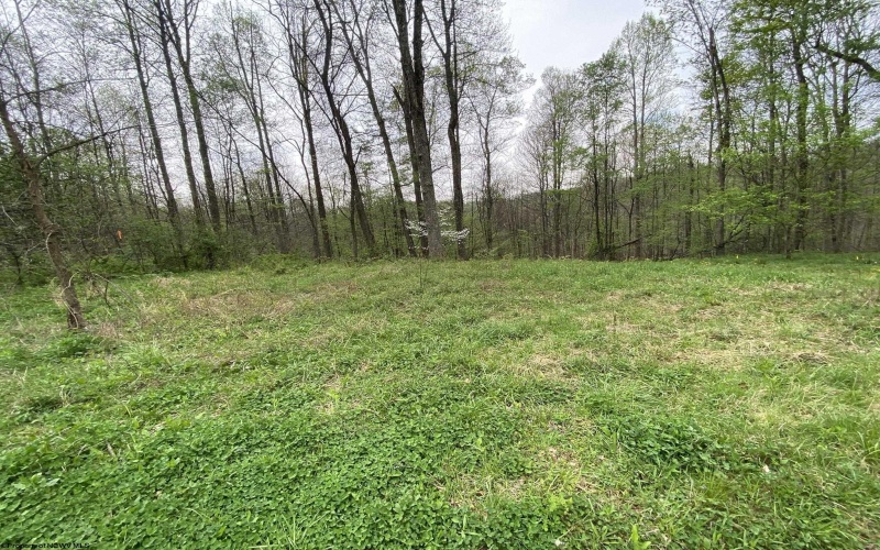 Lot 5 Run Circle, Four States, West Virginia 26572, ,Lots/land,For Sale,Run,10164351