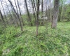Lot 5 Run Circle, Four States, West Virginia 26572, ,Lots/land,For Sale,Run,10164351