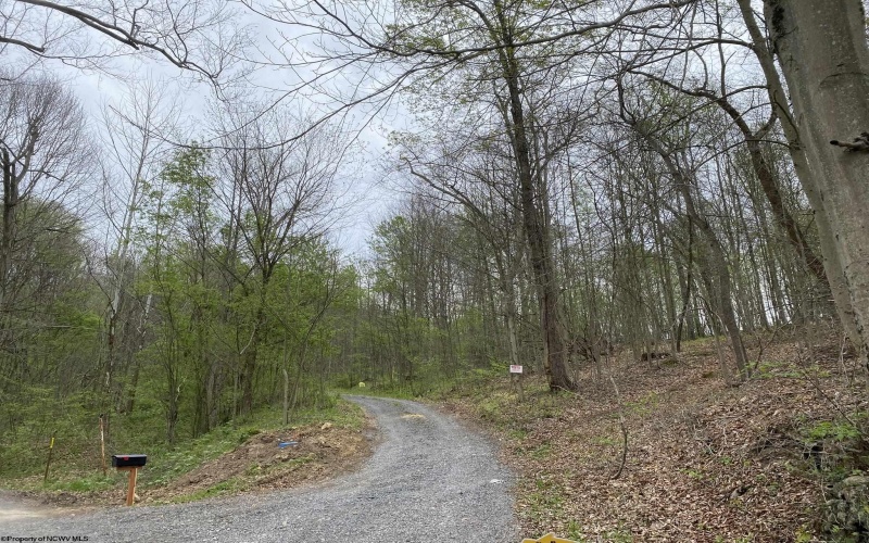 Lot 5 Run Circle, Four States, West Virginia 26572, ,Lots/land,For Sale,Run,10164351