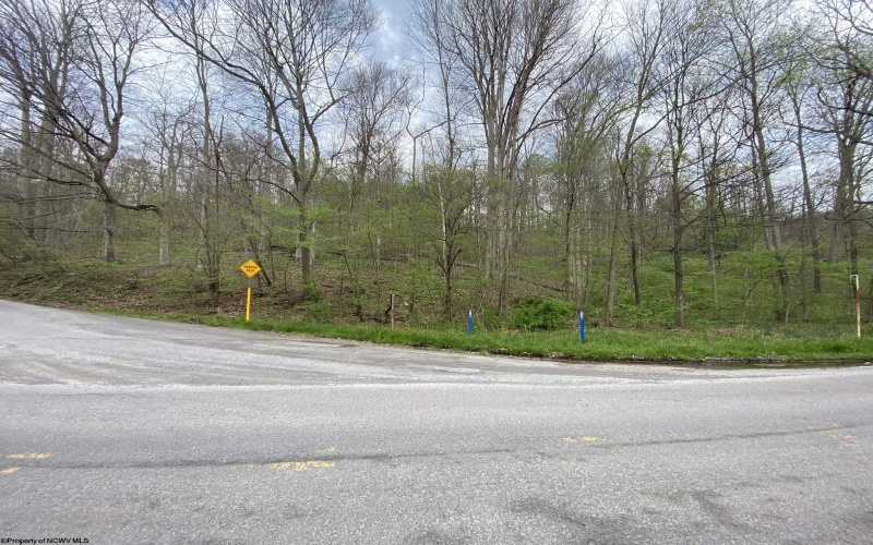 Lot 5 Run Circle, Four States, West Virginia 26572, ,Lots/land,For Sale,Run,10164351