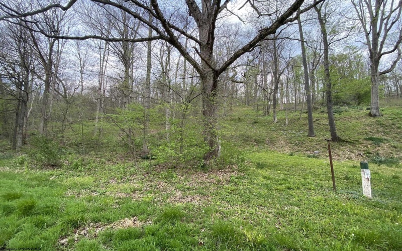 Lot 5 Run Circle, Four States, West Virginia 26572, ,Lots/land,For Sale,Run,10164351