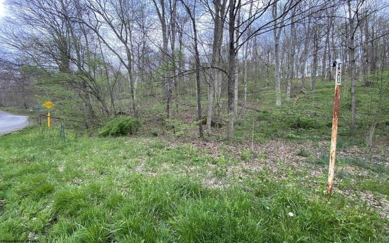 Lot 5 Run Circle, Four States, West Virginia 26572, ,Lots/land,For Sale,Run,10164351