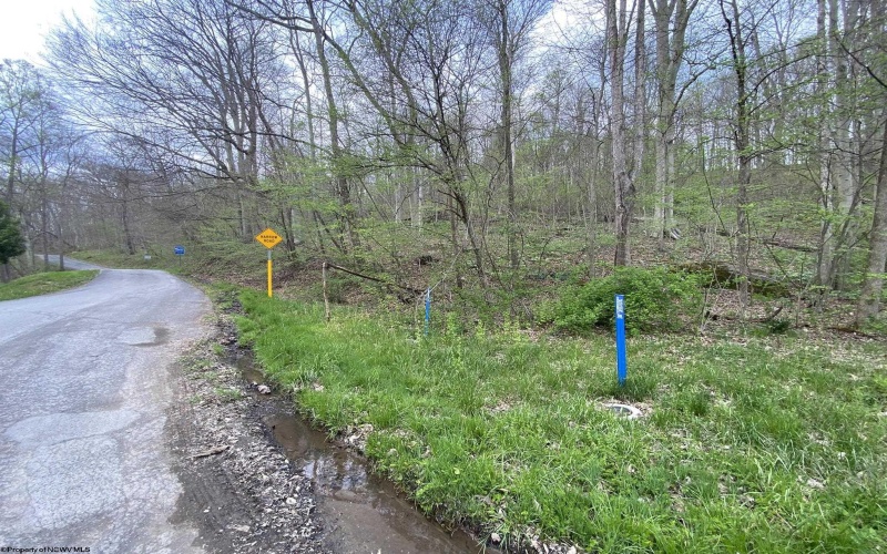 Lot 5 Run Circle, Four States, West Virginia 26572, ,Lots/land,For Sale,Run,10164351