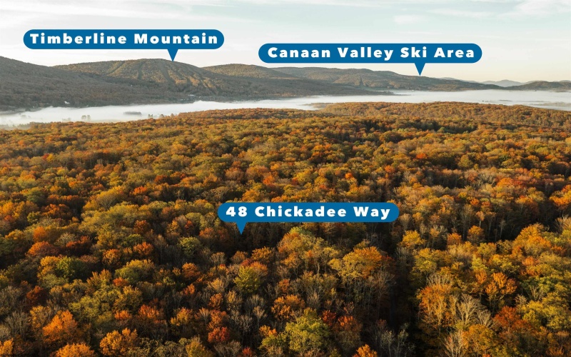 48 Chickadee Drive, Davis, West Virginia 26260, 3 Bedrooms Bedrooms, 7 Rooms Rooms,2 BathroomsBathrooms,Single Family Detached,For Sale,Chickadee,10164353