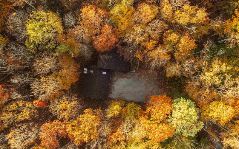 48 Chickadee Drive, Davis, West Virginia 26260, 3 Bedrooms Bedrooms, 7 Rooms Rooms,2 BathroomsBathrooms,Single Family Detached,For Sale,Chickadee,10164353