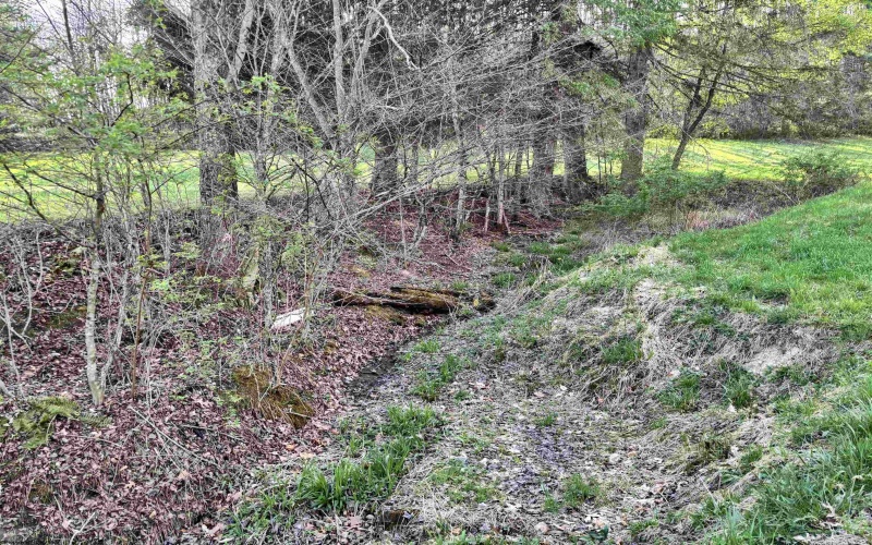 1021 Clover Run Road, Montrose, West Virginia 26283, 3 Bedrooms Bedrooms, 8 Rooms Rooms,1 BathroomBathrooms,Single Family Detached,For Sale,Clover Run,10164358