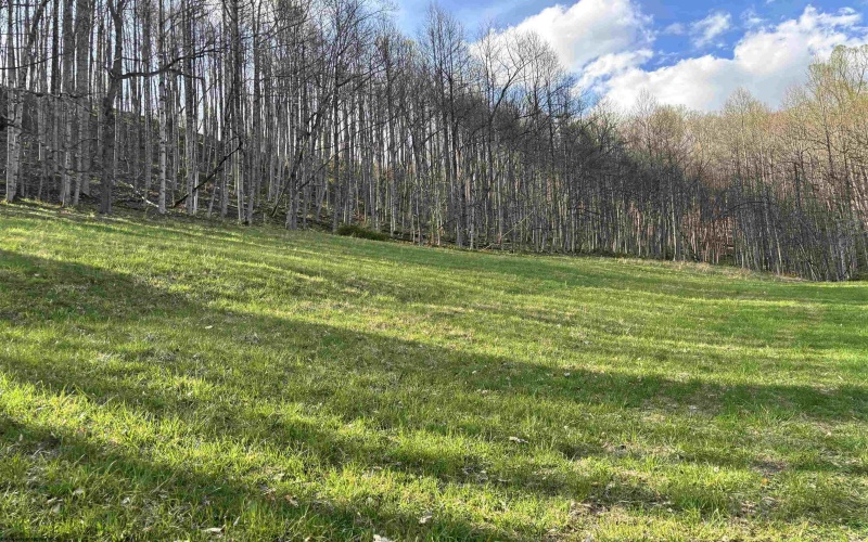 1021 Clover Run Road, Montrose, West Virginia 26283, 3 Bedrooms Bedrooms, 8 Rooms Rooms,1 BathroomBathrooms,Single Family Detached,For Sale,Clover Run,10164358