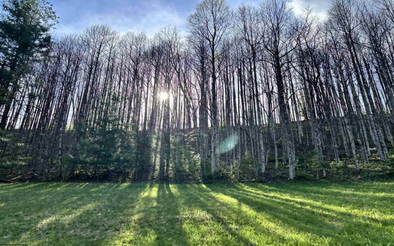 1021 Clover Run Road, Montrose, West Virginia 26283, 3 Bedrooms Bedrooms, 8 Rooms Rooms,1 BathroomBathrooms,Single Family Detached,For Sale,Clover Run,10164358