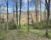 5601 Clover Fork Road, Orlando, West Virginia 26412, ,Lots/land,For Sale,Clover Fork,10164363