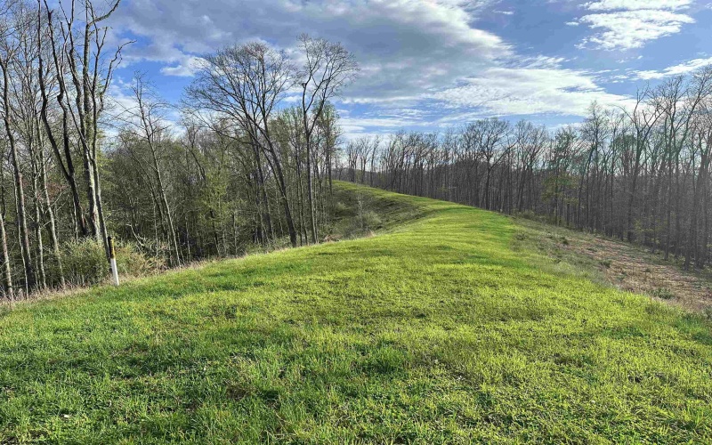 5601 Clover Fork Road, Orlando, West Virginia 26412, ,Lots/land,For Sale,Clover Fork,10164363