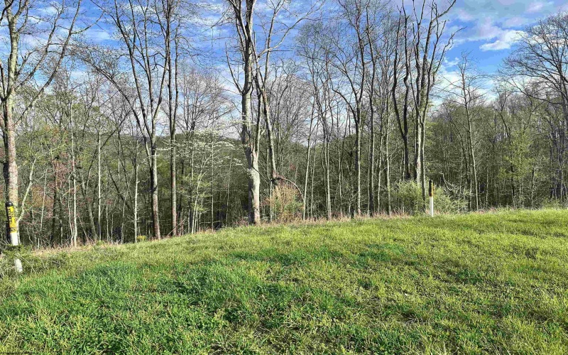 5601 Clover Fork Road, Orlando, West Virginia 26412, ,Lots/land,For Sale,Clover Fork,10164363