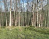5601 Clover Fork Road, Orlando, West Virginia 26412, ,Lots/land,For Sale,Clover Fork,10164363