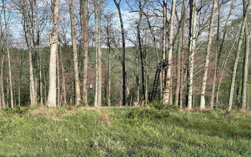 5601 Clover Fork Road, Orlando, West Virginia 26412, ,Lots/land,For Sale,Clover Fork,10164363