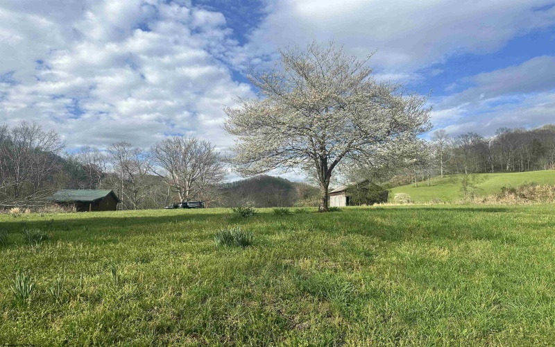 5601 Clover Fork Road, Orlando, West Virginia 26412, ,Lots/land,For Sale,Clover Fork,10164363