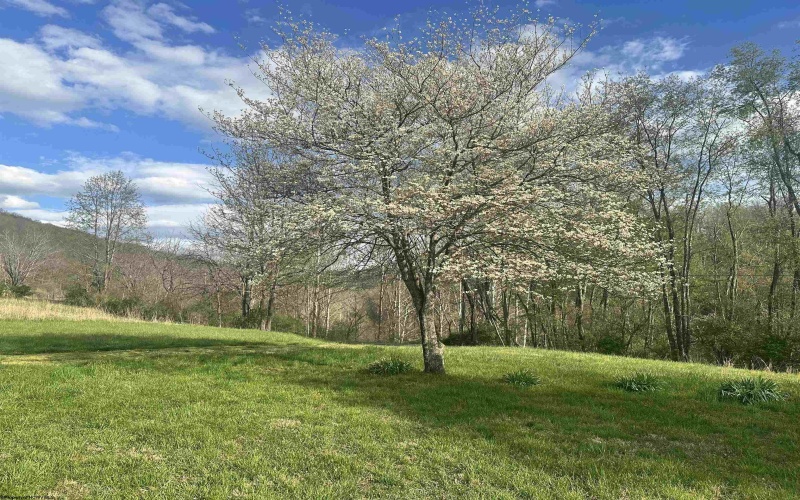 5601 Clover Fork Road, Orlando, West Virginia 26412, ,Lots/land,For Sale,Clover Fork,10164363