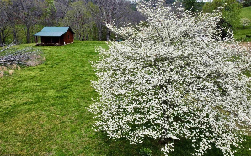 5601 Clover Fork Road, Orlando, West Virginia 26412, ,Lots/land,For Sale,Clover Fork,10164363