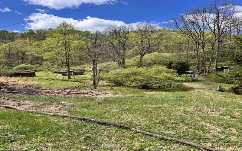 601 Shaw Hallow Road, Wallace, West Virginia 26448-9999, ,Lots/land,For Sale,Shaw Hallow,10164376