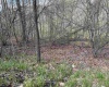 TBD Behlar Road, Maidsville, West Virginia 26570, ,Lots/land,For Sale,Behlar,10164365