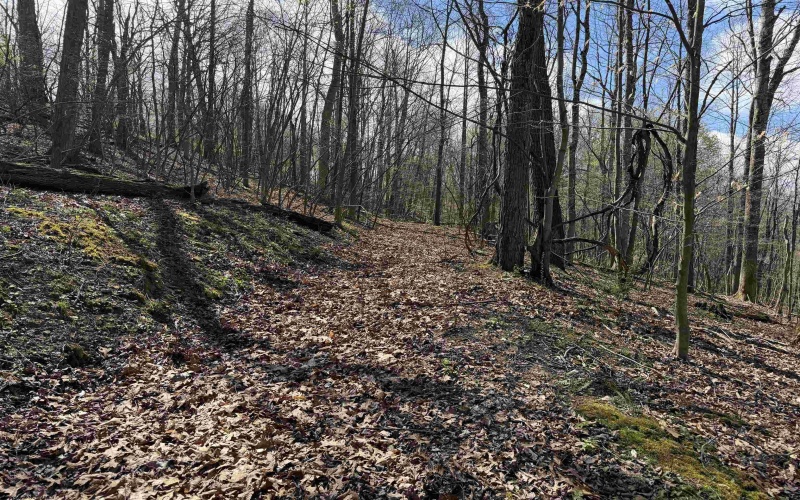 TBD Behlar Road, Maidsville, West Virginia 26570, ,Lots/land,For Sale,Behlar,10164365